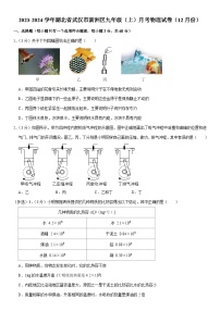 湖北省武汉市新洲区2023-2024学年九年级上学期12月月考物理试卷