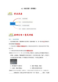 人教版八年级物理上册同步考点专题训练 4.2 光的反射（原卷版+解析版）