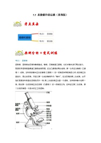 人教版八年级物理上册同步考点专题训练 5.5 显微镜和望远镜（原卷版+解析版）