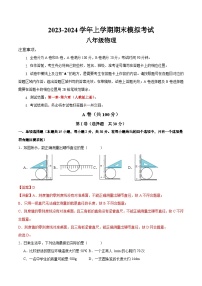 八年级物理期末模拟卷02（四川成都专用，第1章~第6章）-2023-2024学年初中上学期期末模拟考试