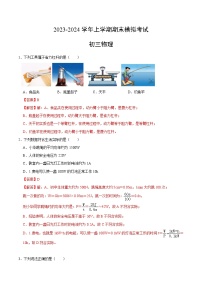 九年级物理期末模拟卷（苏科版）-2023-2024学年初中上学期期末模拟考试