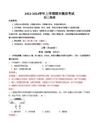 九年级物理期末模拟卷01（四川成都专用，九年级全一册）-2023-2024学年初中上学期期末模拟考试