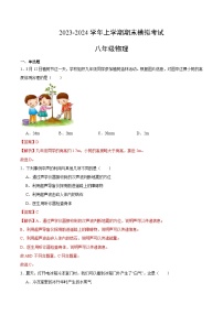 八年级物理期末模拟卷（安徽专用，人教版上册全部）-2023-2024学年初中上学期期末模拟考试