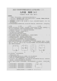 广西壮族自治区来宾市2023-2024学年九年级上学期1月月考物理试题