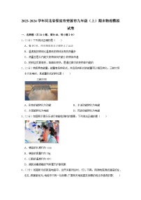 河北省保定市安国市2023-2024学年九年级上学期期末物理模拟试卷