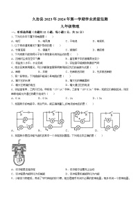 青海省果洛州久治县2023-2024学年九年级上学期期末考试物理试题