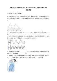 安徽省六安市金寨县2023-2024学年八年级上册期末考试物理模拟试卷（附答案）