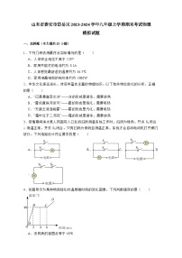 山东省泰安市岱岳区2023-2024学年九年级上册期末考试物理模拟试卷（附答案）