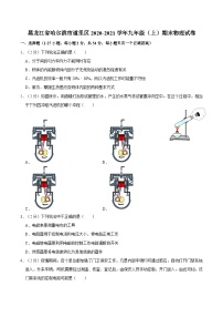 黑龙江省哈尔滨市道里区2020-2021学年九年级上学期期末物理试卷