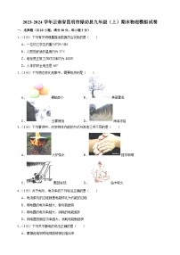 云南省昆明市禄劝县2023-2024学年九年级上学期期末物理模拟试卷