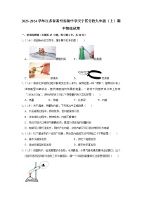 2023-2024学年江苏省常州实验中学天宁区分校九年级上学期期中物理试卷