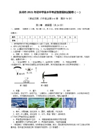 2021年湖南省永州市初中学业水平考试模拟物理试题（一）