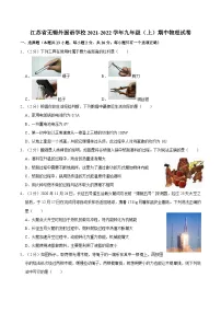 江苏省无锡市外国语学校2021-2022学年九年级上学期期中物理试卷（附答案）