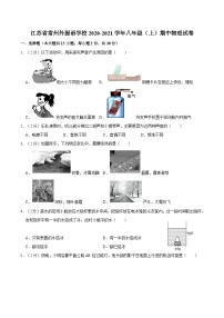 江苏省常州外国语学校2020-2021学年八年级上学期期中物理试卷