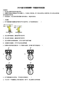 2024届九年级物理第一学期期末检测试题