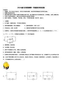 2024届九年级物理第一学期期末预测试题