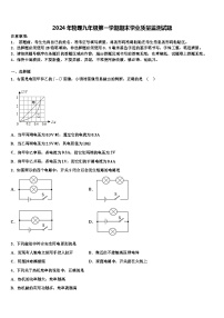 2024年物理九年级第一学期期末学业质量监测试题