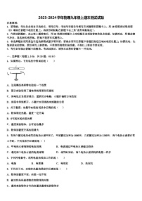 2023-2024学年物理九年级上期末测试试题