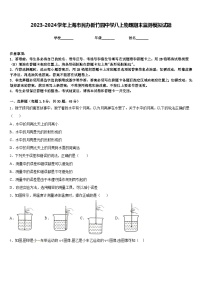 2023-2024学年上海市民办新竹园中学八上物理期末监测模拟试题含答案