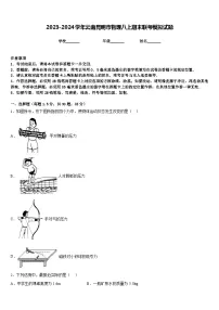 2023-2024学年云南昆明市物理八上期末联考模拟试题含答案
