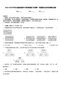 2023-2024学年云南省昭通市巧家县物理八年级第一学期期末达标检测模拟试题含答案