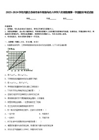 2023-2024学年内蒙古赤峰市翁牛特旗乌丹六中学八年级物理第一学期期末考试试题含答案