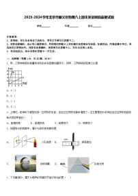 2023-2024学年北京市顺义区物理八上期末质量跟踪监视试题含答案