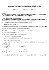 2023-2024学年四川省广元市剑阁县物理八上期末达标检测试题含答案