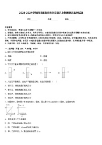 2023-2024学年四川省宜宾市兴文县八上物理期末监测试题含答案