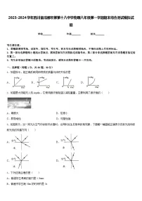 2023-2024学年四川省成都市第第十八中学物理八年级第一学期期末综合测试模拟试题含答案