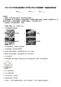 2023-2024学年四川省成都市七中学育才学校八年级物理第一学期期末调研试题含答案