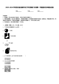 2023-2024学年四川省成都市育才学校物理八年级第一学期期末统考模拟试题含答案