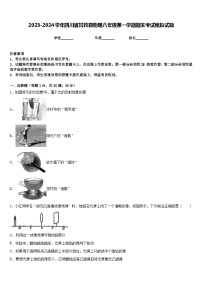 2023-2024学年四川省甘孜县物理八年级第一学期期末考试模拟试题含答案