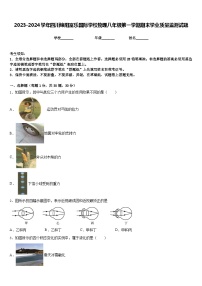 2023-2024学年四川绵阳富乐国际学校物理八年级第一学期期末学业质量监测试题含答案