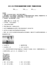 2023-2024学年四川省简阳市物理八年级第一学期期末统考试题含答案