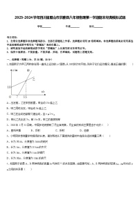 2023-2024学年四川省眉山市洪雅县八年级物理第一学期期末经典模拟试题含答案