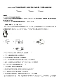 2023-2024学年四川省眉山市龙正区物理八年级第一学期期末调研试题含答案