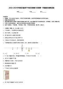 2023-2024学年四川省遂宁市名校物理八年级第一学期期末调研试题含答案