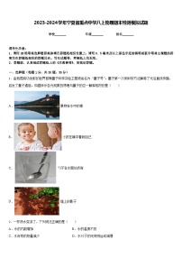 2023-2024学年宁夏省重点中学八上物理期末检测模拟试题含答案
