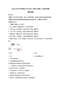 2023-2024学年黑龙江省大庆市九年级上册11月期中物理测试卷（含解析）