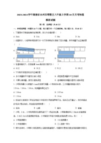 2023-2024学年湖南省永州市零陵区八年级上册10月月考物理测试卷（含解析）