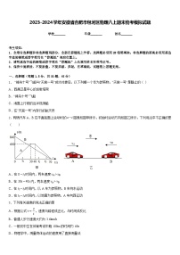 2023-2024学年安徽省合肥市包河区物理八上期末统考模拟试题含答案