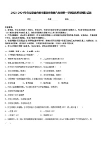 2023-2024学年安徽省合肥市巢湖市物理八年级第一学期期末检测模拟试题含答案