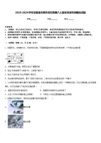2023-2024学年安徽省合肥市名校物理八上期末质量检测模拟试题含答案