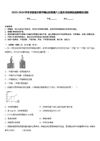 2023-2024学年安徽省合肥市蜀山区物理八上期末质量跟踪监视模拟试题含答案