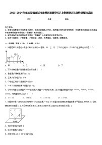 2023-2024学年安徽省宣城市宣州区雁翅学校八上物理期末达标检测模拟试题含答案