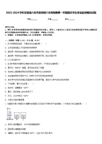2023-2024学年安徽省六安市霍邱县八年级物理第一学期期末学业质量监测模拟试题含答案