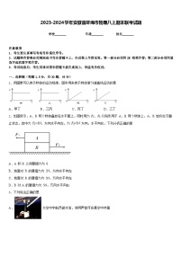 2023-2024学年安徽省蚌埠市物理八上期末联考试题含答案