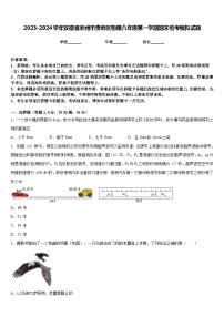 2023-2024学年安徽省池州市贵池区物理八年级第一学期期末统考模拟试题含答案