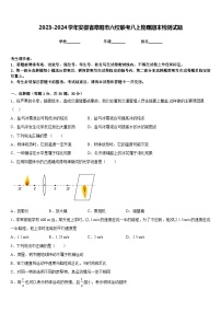 2023-2024学年安徽省阜阳市六校联考八上物理期末检测试题含答案